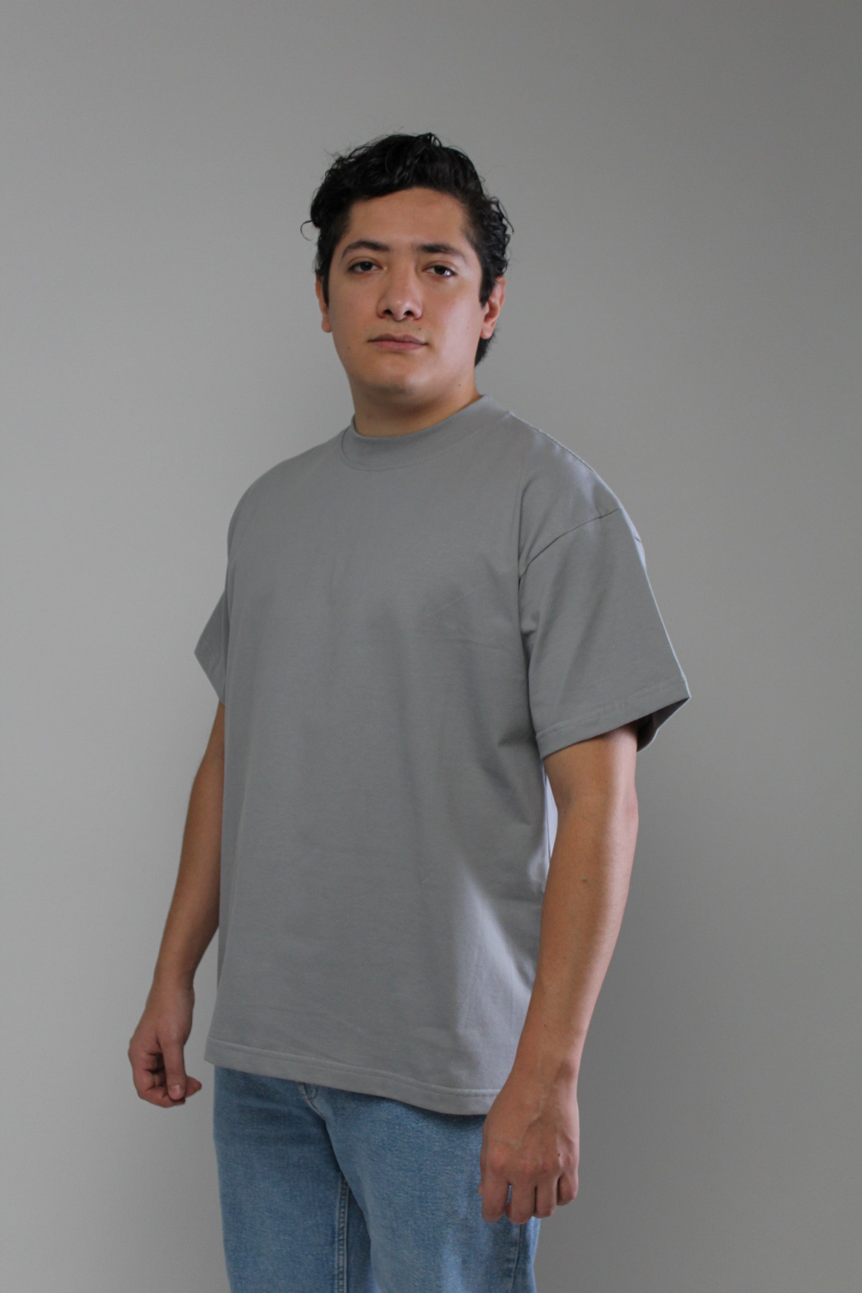 Premium Classic Relaxed Tee / Gris Perla