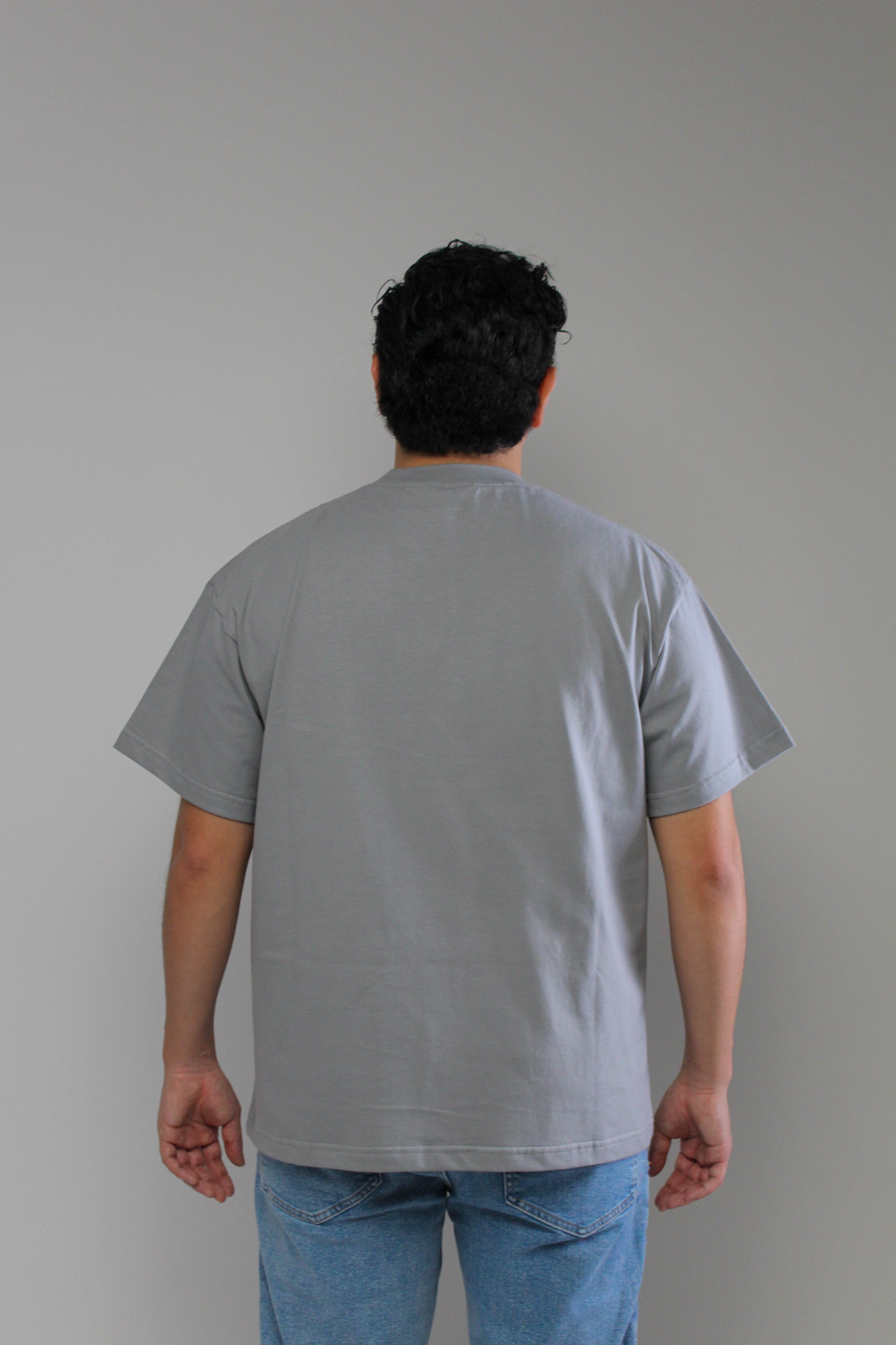 Premium Classic Relaxed Tee / Gris Perla